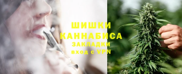 a pvp Инсар