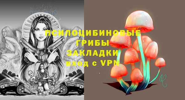 первитин Инта